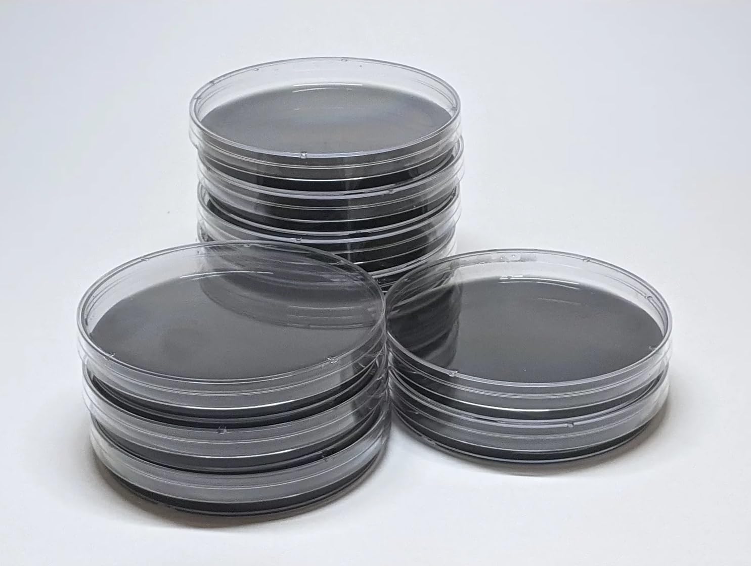 Potato Dextrose Agar with Activated Charcoal Plates, 10pcs