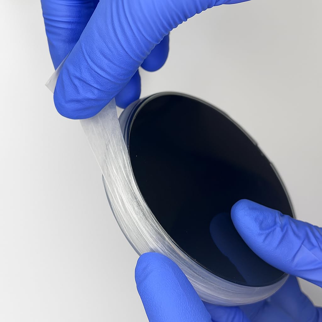 Potato Dextrose Agar with Activated Charcoal Plates, 6pcs